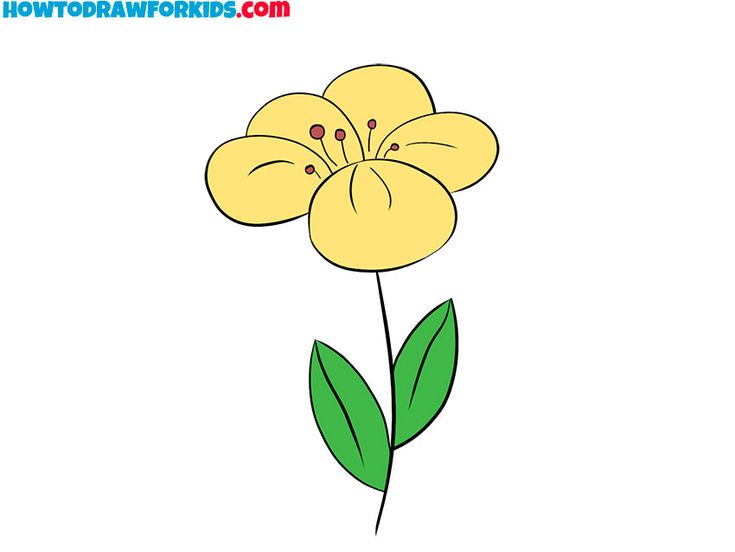 How to Draw a Pretty Flower in 2022 | Pretty flowers, Drawings ...