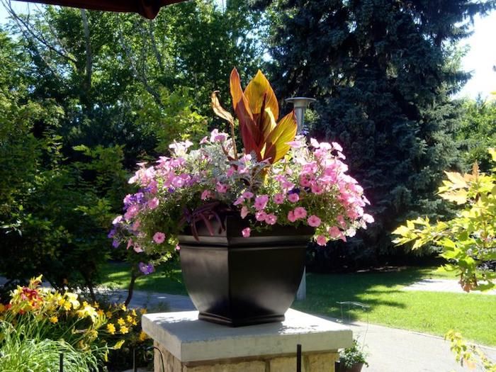 421 best GARTENGESTALTUNG images on Pinterest - gartengestaltung beispiele und bilder 421 best GARTENGESTALTUNG images on Pinterest - gartengestaltung beispiele und bilder