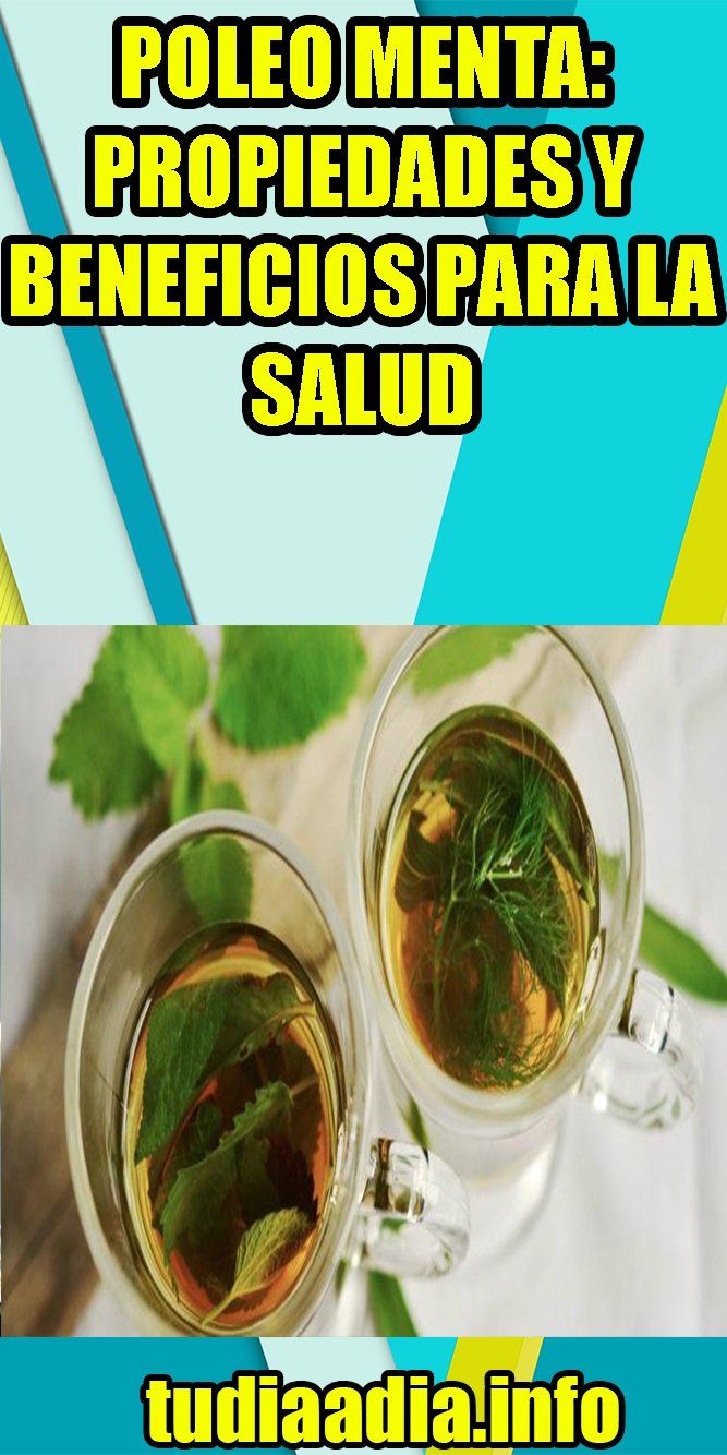 Poleo menta para adelgazar Poleo menta para adelgazar