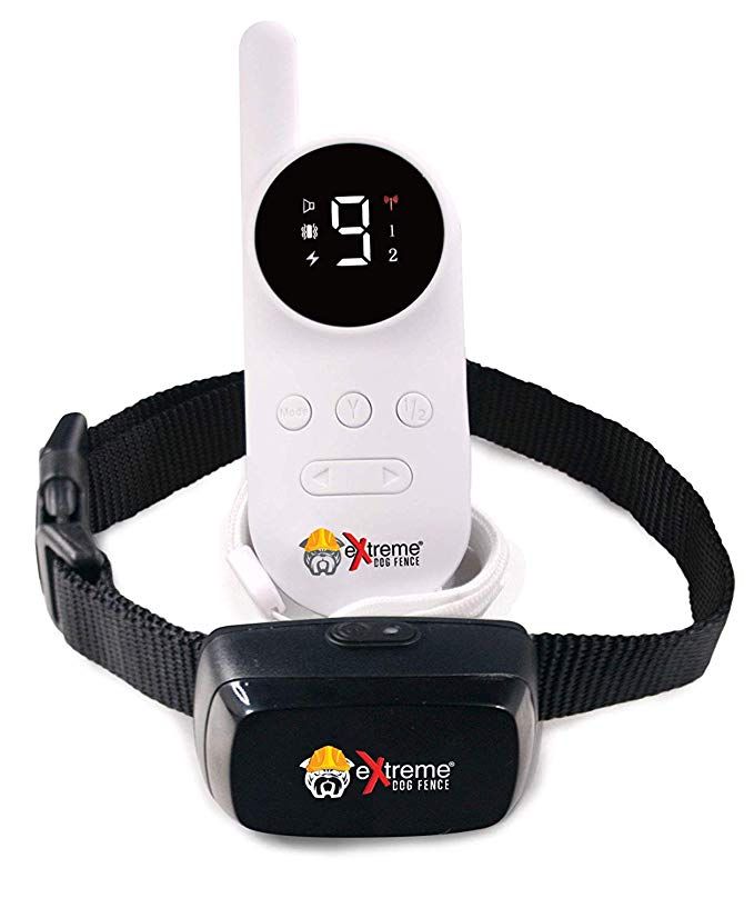 Extreme G2 Dog Training Collar With Remote For Dog Obedience