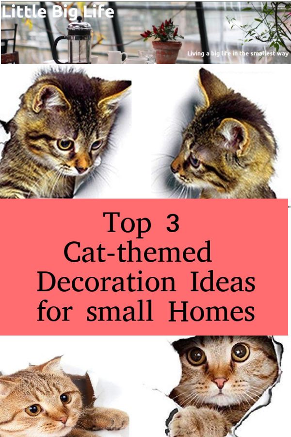 LITTLE BIG LIFE: Top 3 Cat-themed Decoration Ideas for small Homes