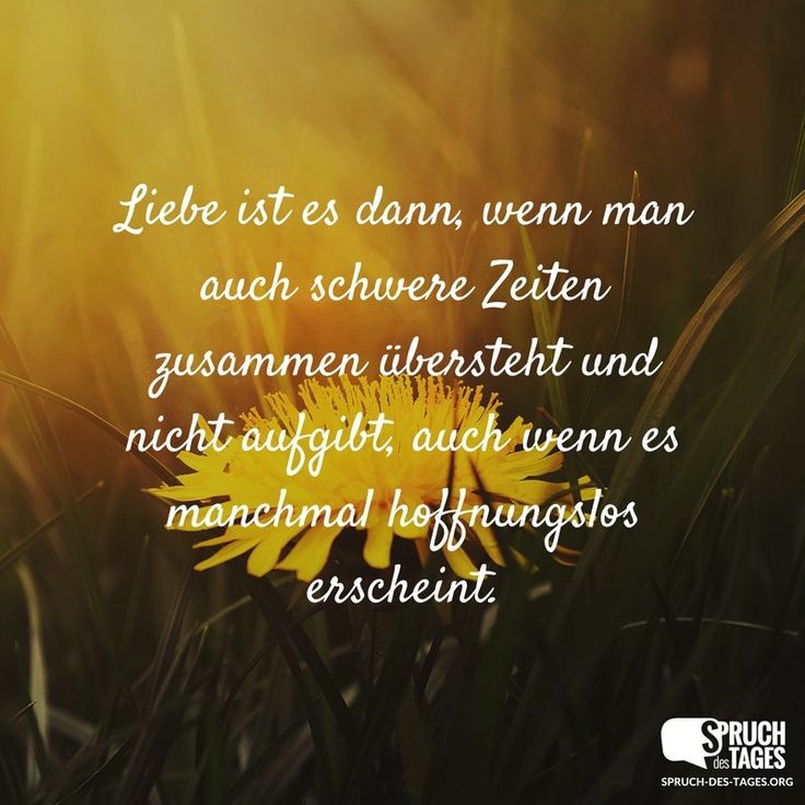Die Prophylaxe und die Rehabilitierung des Alkoholismus