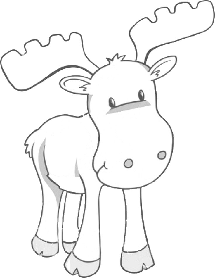 the 61 best animal coloring pages summers topic images on forest animals coloring pages