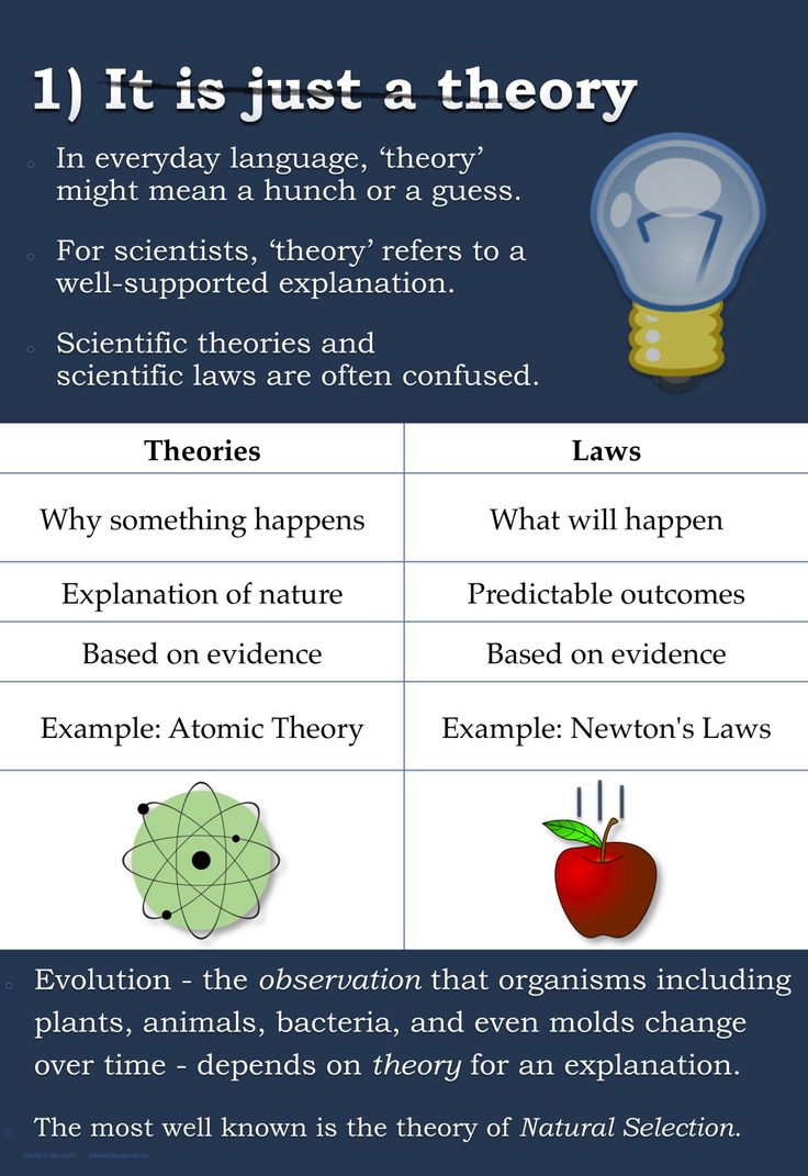 evolution science In computer science, simulations of evolution using evolutionary algorithms and artificial life started in the 1960s and were extended with simulation of artificial selection. evolution science In computer science, simulations of evolution using evolutionary algorithms and artificial life started in the 1960s and were extended with simulation of artificial selection.
