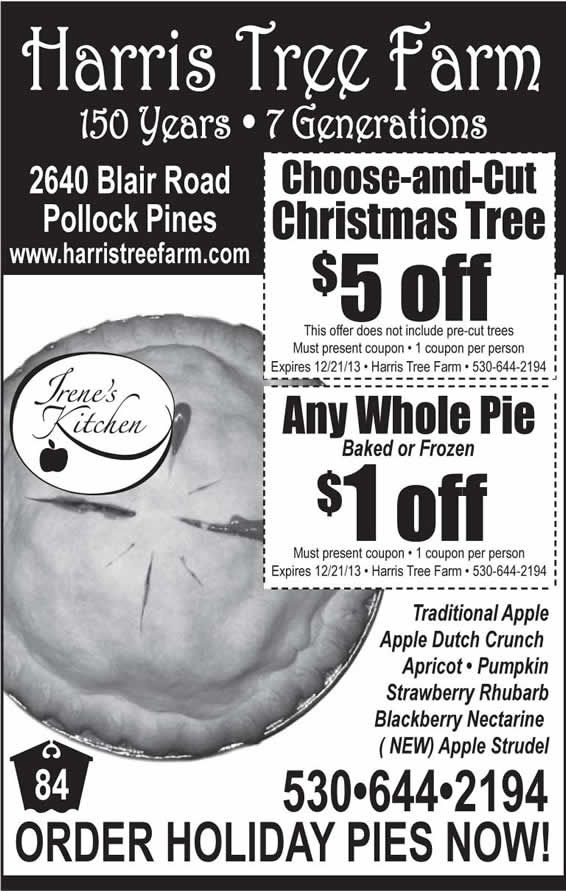 Billy the tree coupon fest finder for 60's rock in chicago land your place on the web for info on 60's rock music at chicago suburban festivals, winter bar bands, and benefits.