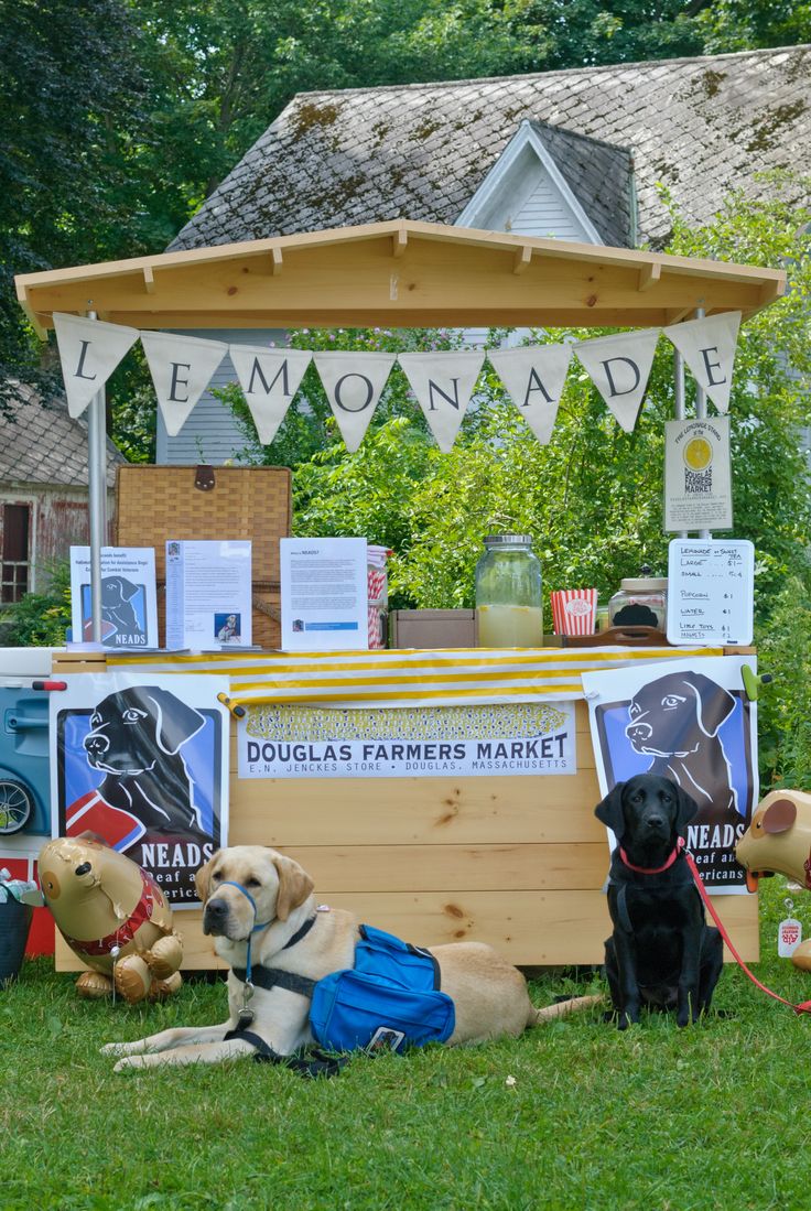 NEADS Dogs Working The Lemonade Stand Dogs Lemonade Stand Dog Days NEADS Dogs Working The Lemonade Stand Dogs Lemonade Stand Dog Days
