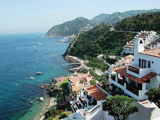 Best 20 Catalina Island Hotels Ideas On Pinterest Hamilton Cove Catalina Island Ca This Is An Awesome Place To Visit