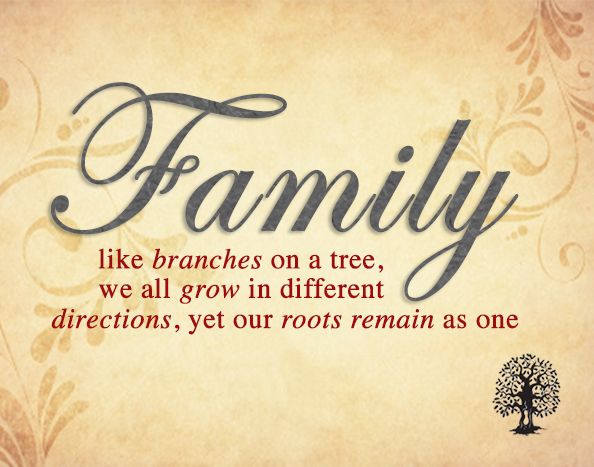 Famous Quotes About Family Cool 24 Best Quotes Images On Pinterest Quote Family Funny Family Famous Quotes About Family Enchanting 24 Best Quotes Images On Pinterest Quote Family Funny Family