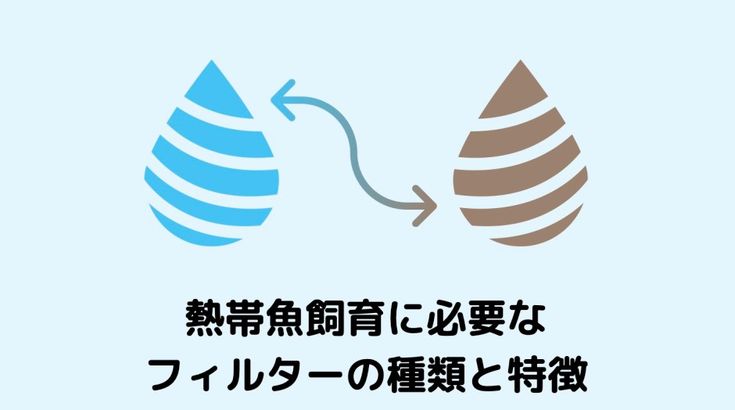 初心者向け 熱帯魚飼育に必要なフィルターの種類と特徴とおすすめ 熱帯魚 フィルター 種類 初心者向け 熱帯魚飼育に必要なフィルターの種類と特徴とおすすめ 熱帯魚 フィルター 種類