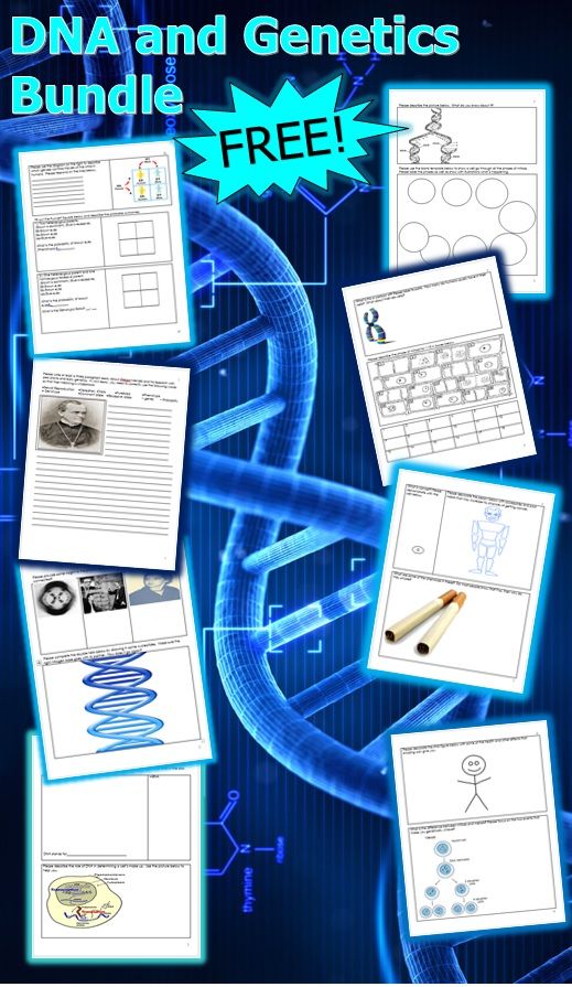 995 best Biology and Life Science Links images on Pinterest Life - best of dna blueprint of life worksheet 995 best Biology and Life Science Links images on Pinterest Life - best of dna blueprint of life worksheet