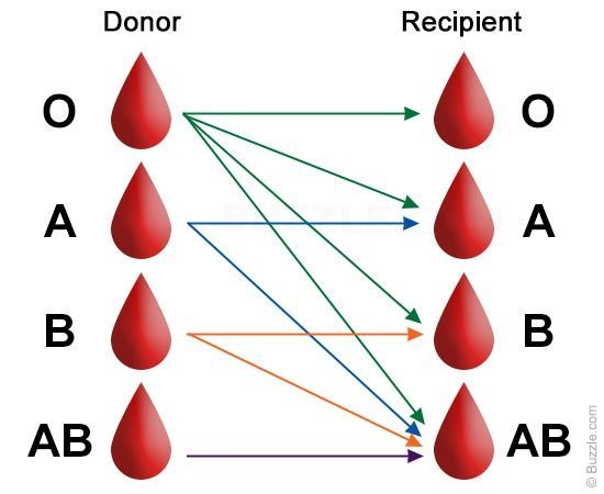 blood chart