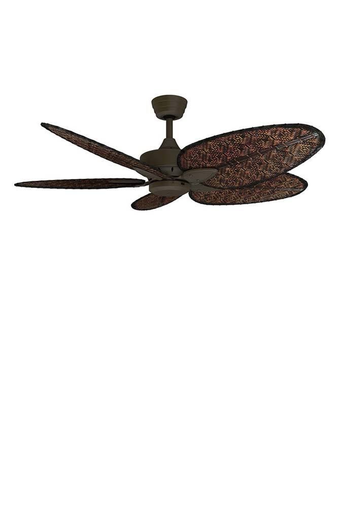 Fanimation Windpointe Ceiling Fan Bamboo Blades Fanimation Windpointe Ceiling Fan