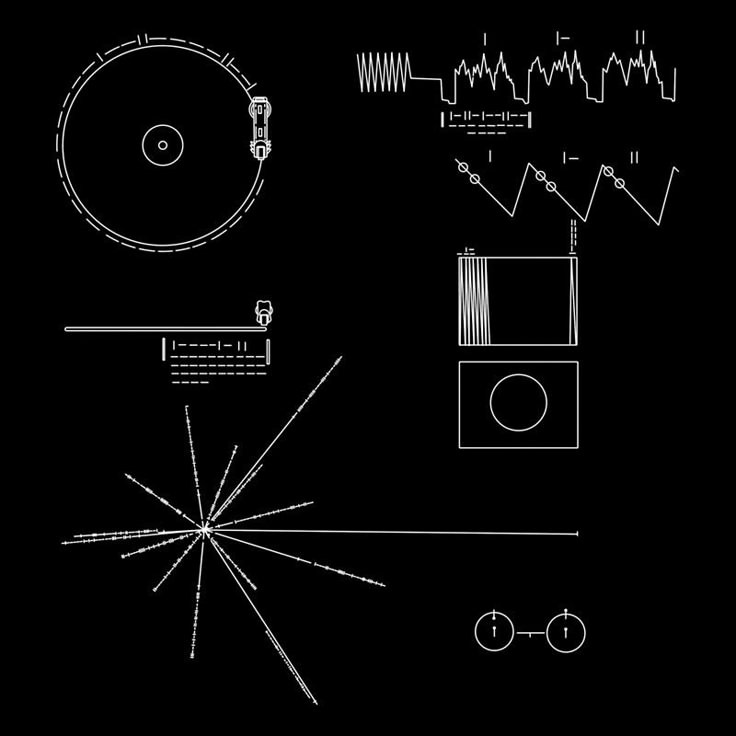Golden Record Voyager Golden Record Carl Sagan Tattoo You Oddities Golden Record Voyager Golden Record Carl Sagan Tattoo You Oddities