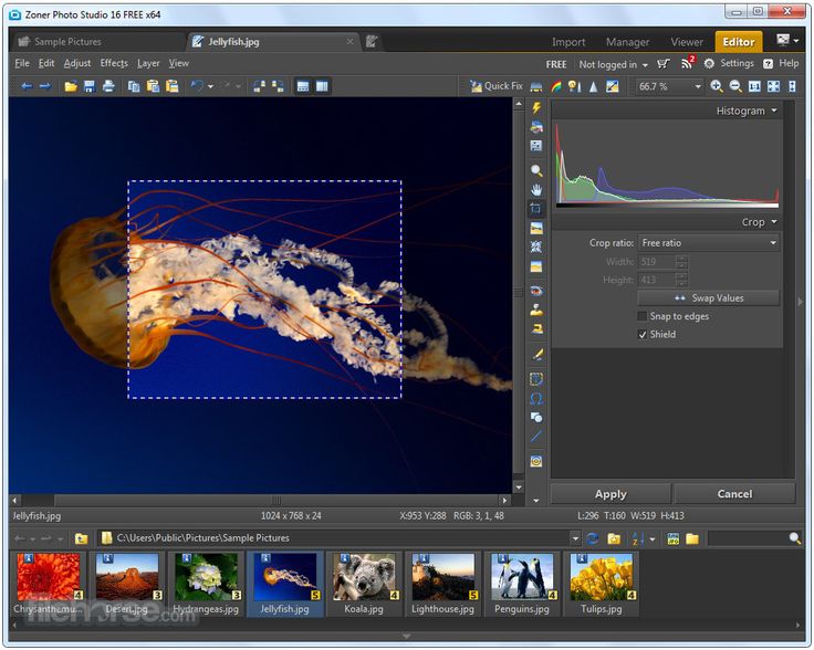 127 best Software of the day images on Pinterest Software, Ramen - foto freeware deutsch 127 best Software of the day images on Pinterest Software, Ramen - foto freeware deutsch