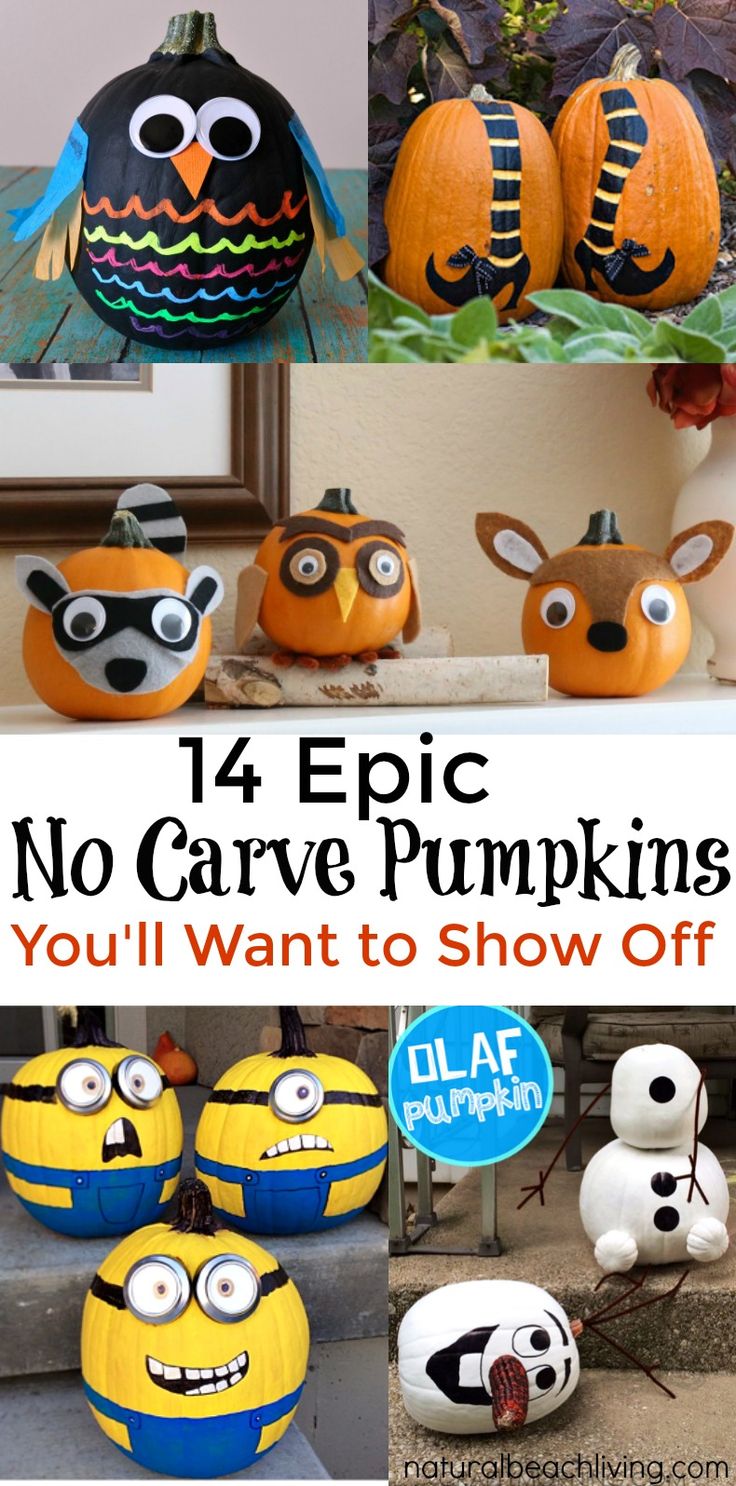 14 epic no carve pumpkins youll want to show off cute pumpkinpumpkin craftspumpkin - Cute Halloween Crafts 14 epic no carve pumpkins youll want to show off cute pumpkinpumpkin craftspumpkin - Cute Halloween Crafts