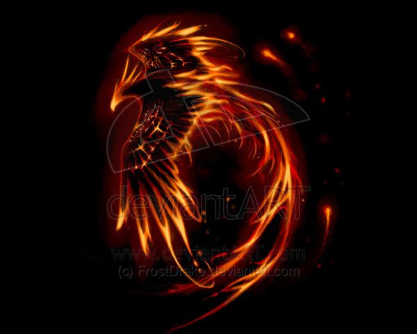 20 best phoenix images on pinterest phoenix bird 20 best phoenix images on pinterest phoenix bird