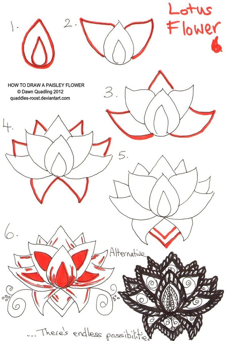 Uncategorized Easy Way To Draw Flowers how to draw lotus flower step by drawing tutorial with pictures cool2bkids manga pinterest and flo