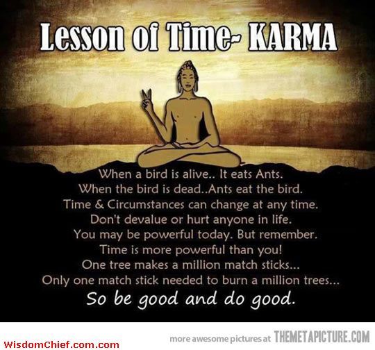 Funny Quotes About Life Lessons Extraordinary 1350 Best Quotes Images On Pinterest Sayings And Quotes Inspire Funny Quotes About Life Lessons Amazing 1350 Best Quotes Images On Pinterest Sayings And Quotes Inspire