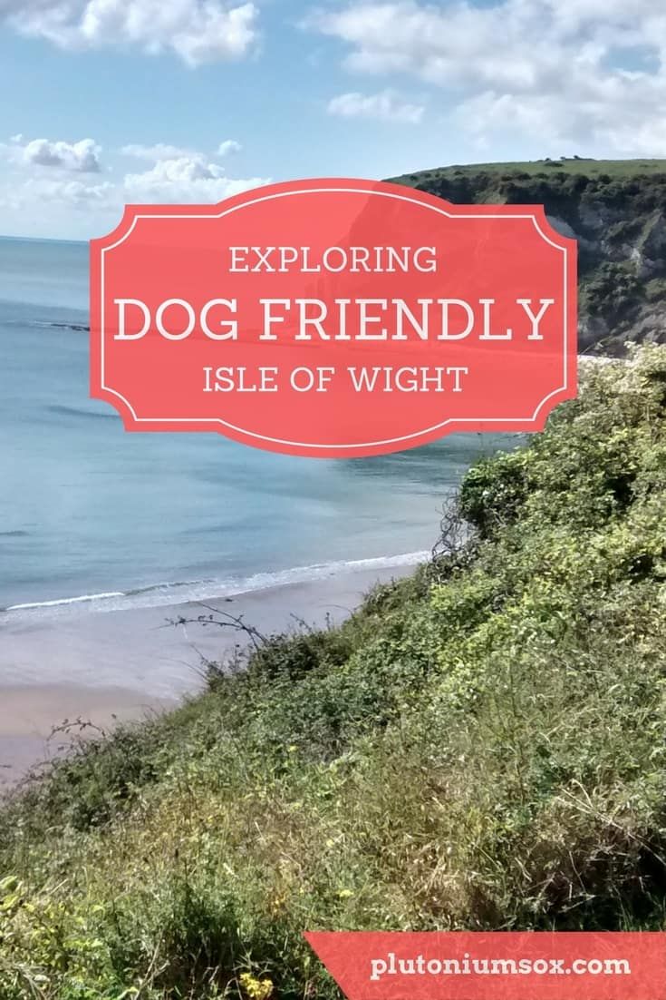 Dog Friendly Hotel Chains Uk Dog Friendly Hotel Chains Uk