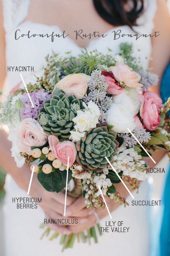 44 Best Flowers Images On Pinterest 44 Best Flowers Images On Pinterest