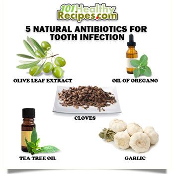 Best Natural Antibiotic For Gum Infection Best Natural Antibiotic For Gum Infection