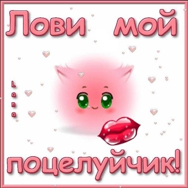 Открытка поцелуи любимому