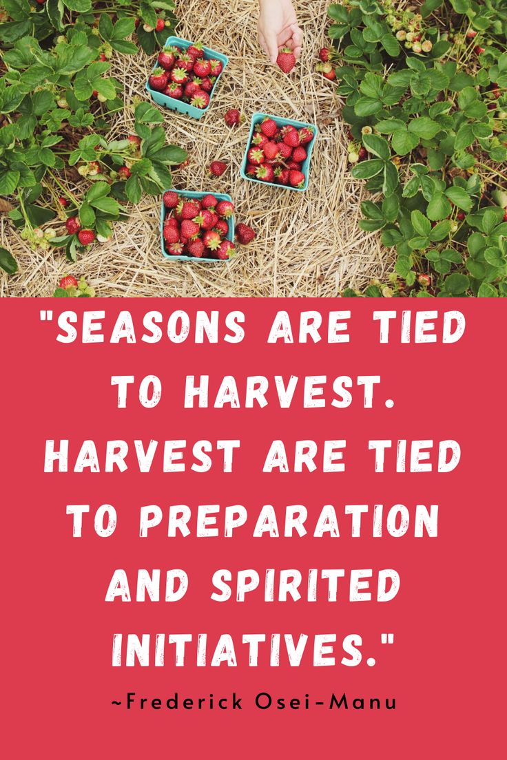 Seasons & Harvest Seasons, Harvest, Life