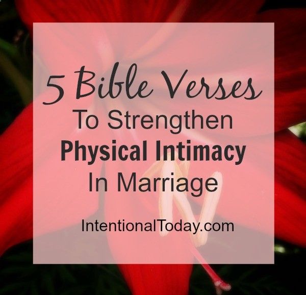 Share your bible marriage begins sex apologise, but Bible marriage begins sex very