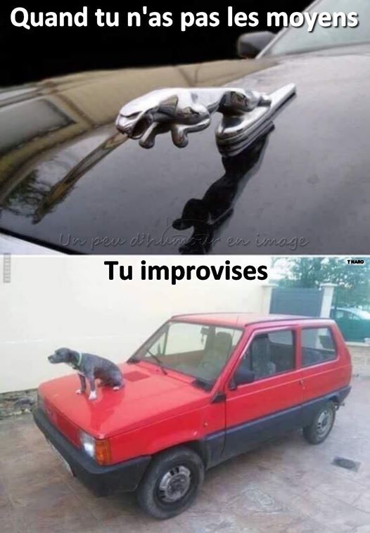 Quand tu n'as pas les moyens tu improvises