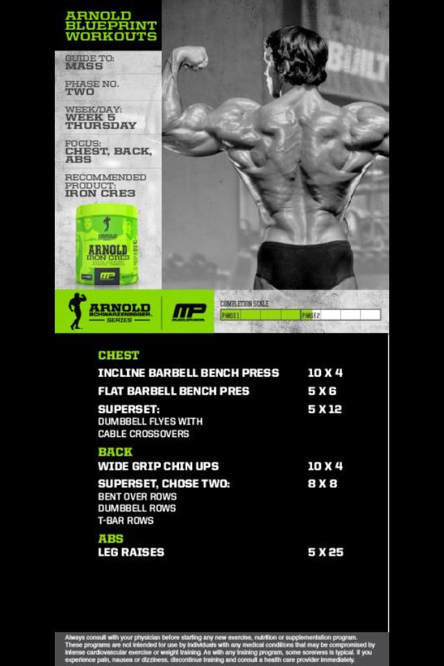 36 best Chest images on Pinterest Exercise routines, Work outs and - new arnold blueprint ebook 36 best Chest images on Pinterest Exercise routines, Work outs and - new arnold blueprint ebook