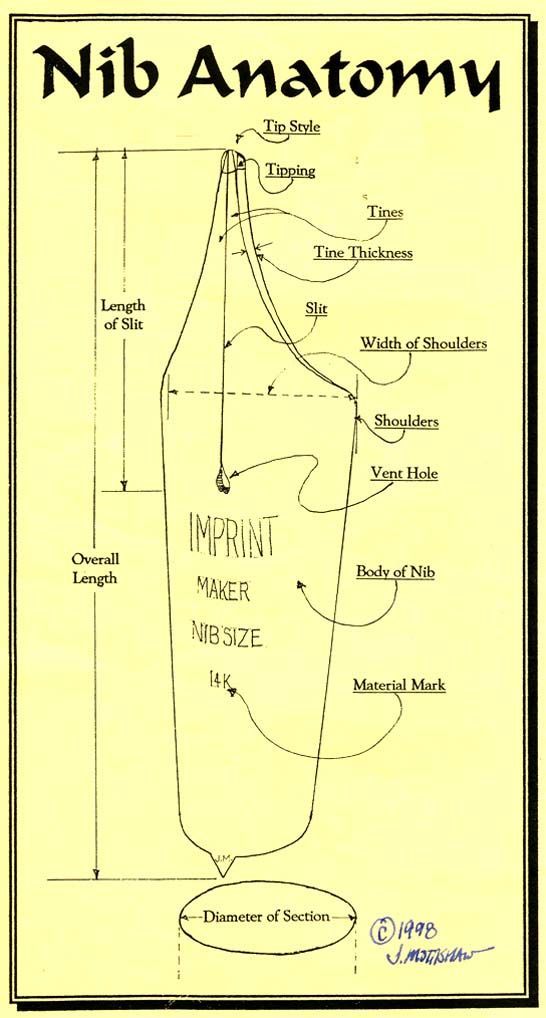 an instruction manual for the nib anatomy