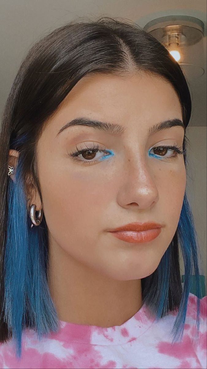 Charli D Amelio In 2020 Hair Inspo Color Hair Streaks Hair Color Streaks
