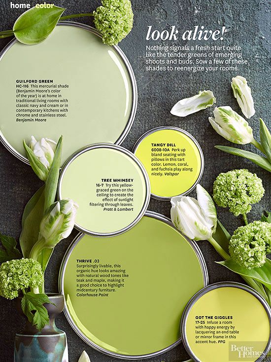 Paint Colors Color The Sweet Science Painting Paint Colors Color The Sweet Science Painting Green