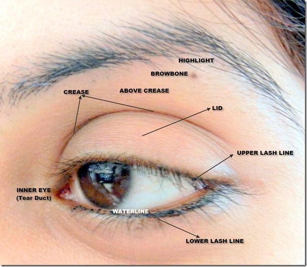 basic eye make up terms | Hair & Beauty | Pinterest | Eye, Makeup and