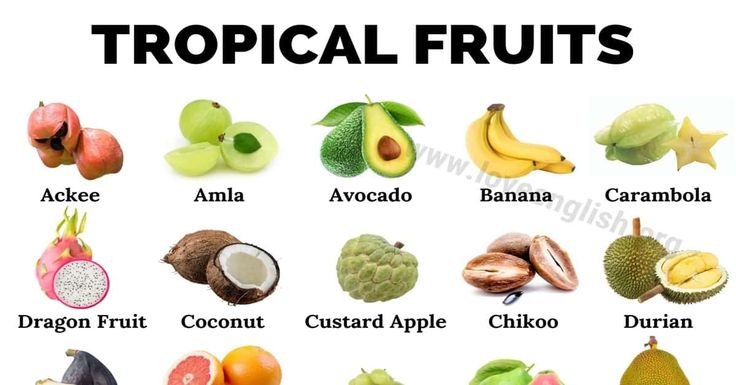 Tropical Fruits Top 35 Delicious Tropical Fruits You Should Try Tropical Fruits Fruit List