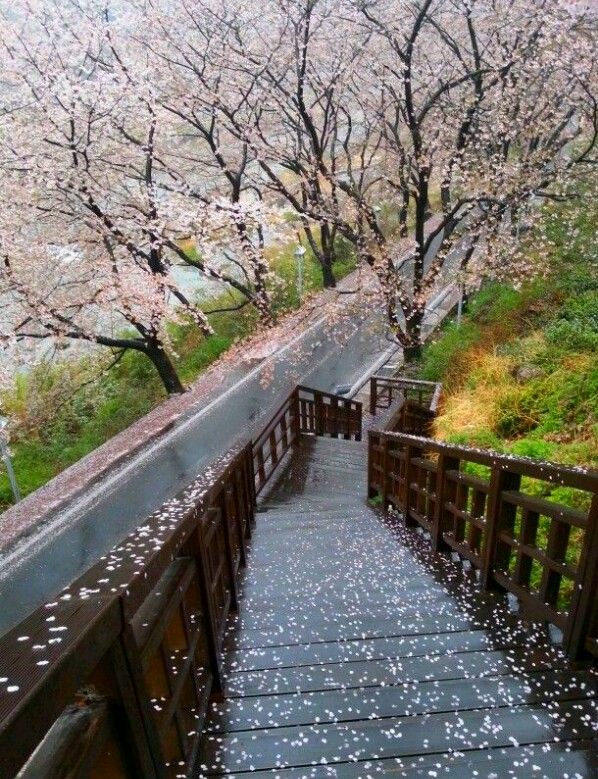 South Korea Pemandangan Fotografi Perjalanan Fotografi Pemandangan