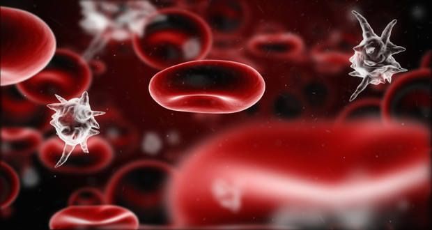 الحلبة والصفائح الدموية فوائدها واضرارها ومدى الاستفادة منها Sepsis Sepsis Treatment Signs Of Sepsis