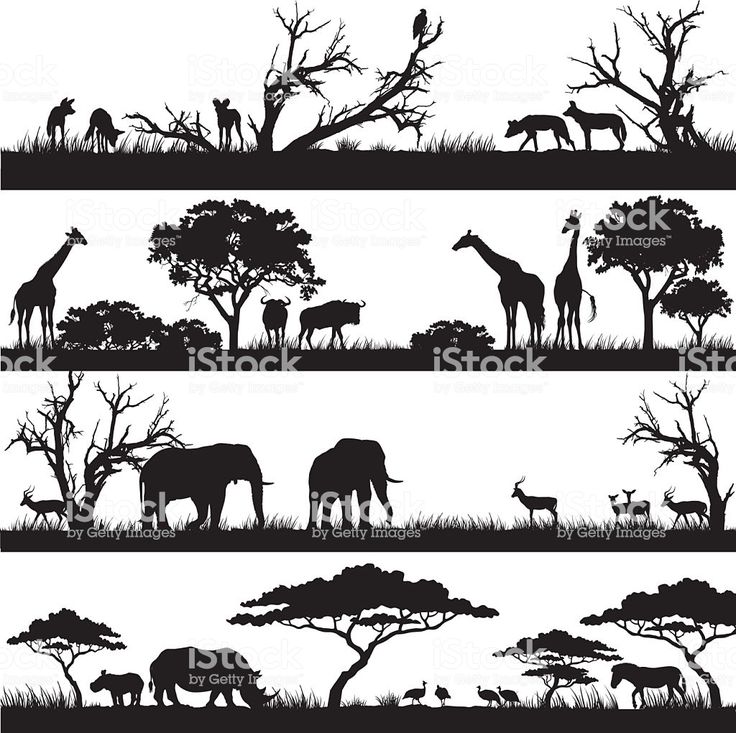 Four Panels Of African Silhouettes With African Wild Animals In four-panels-of-african-silhouettes-with-african-wild-animals-in
