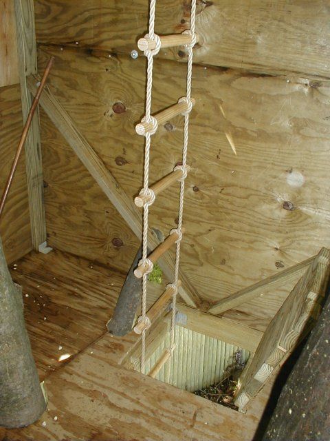 Simple Tree Houses the 25+ best simple tree house ideas on pinterest | diy tree house Simple Tree Houses the 25+ best simple tree house ideas on pinterest | diy tree house