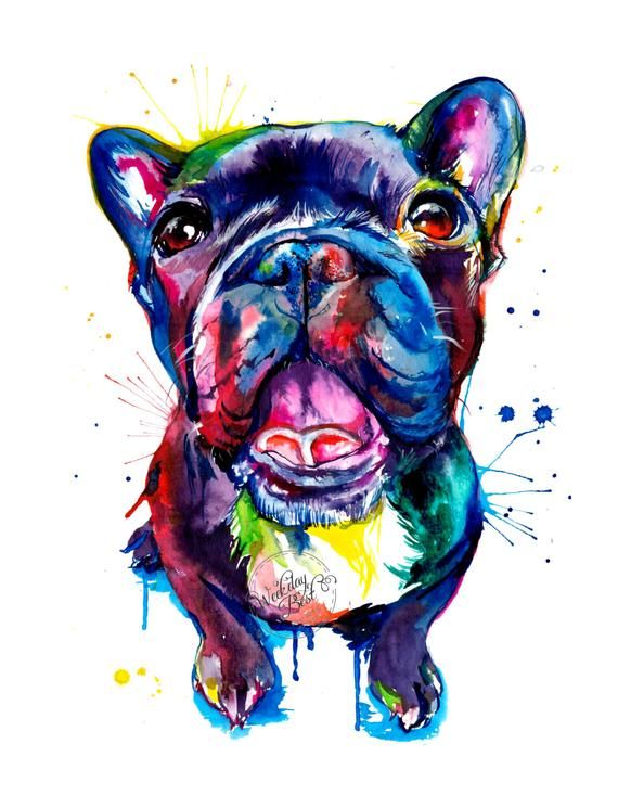 Frenchie French Bulldog Buhi Bulldog Frances Brindle Puppy Pied Frenchies See