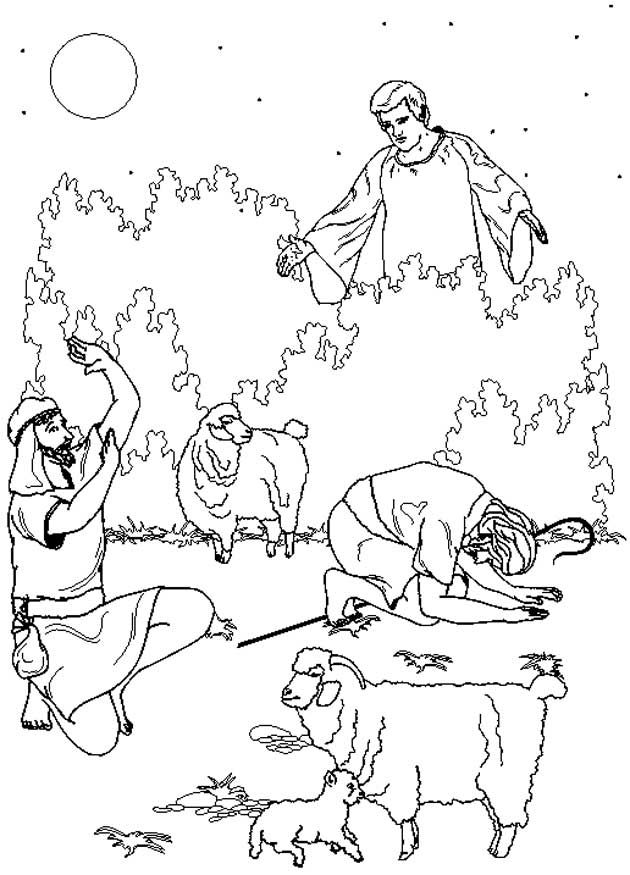 the shepherds receive news of christs birth