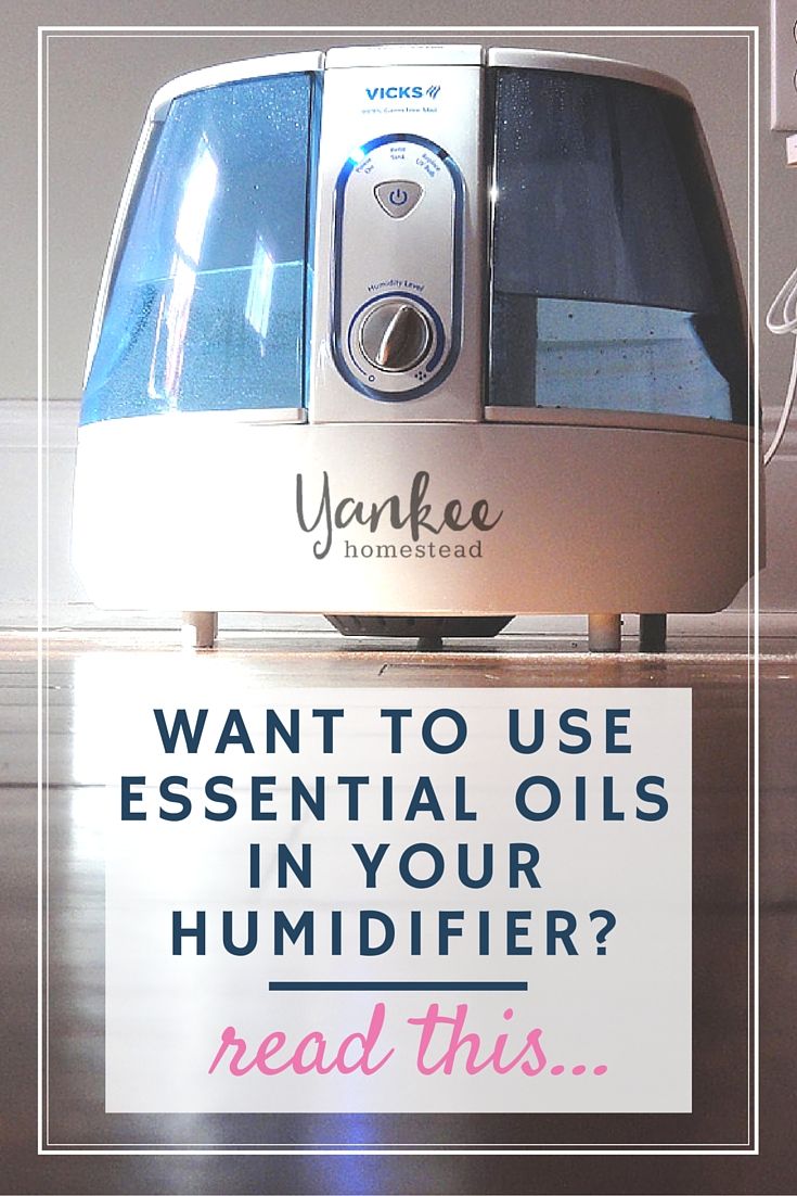 Can You Put Essential Oils in a Humidifier? 2020 Can You Put Essential Oils in a Humidifier? 2020