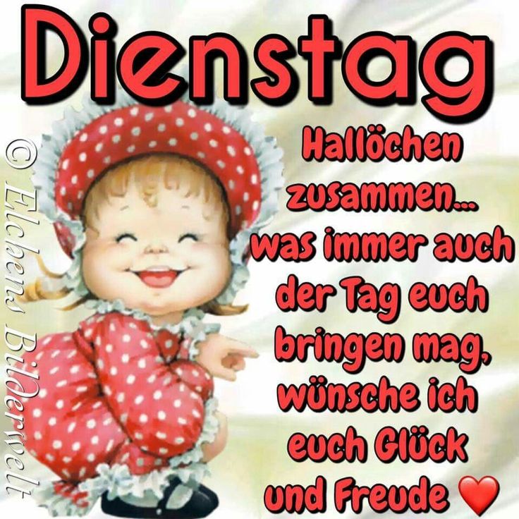 Bilder guten morgen dienstag