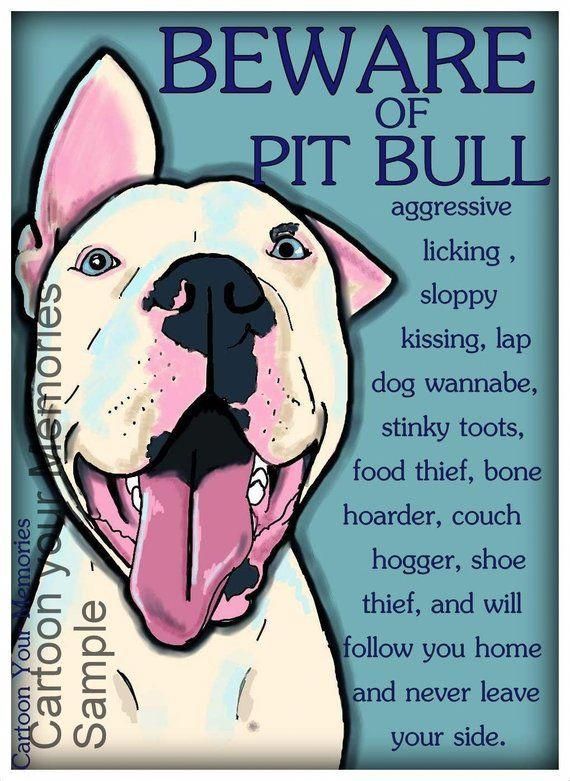 Dog Can Eat Watermelon Pitbulls Pitbull Terrier Lap Dogs