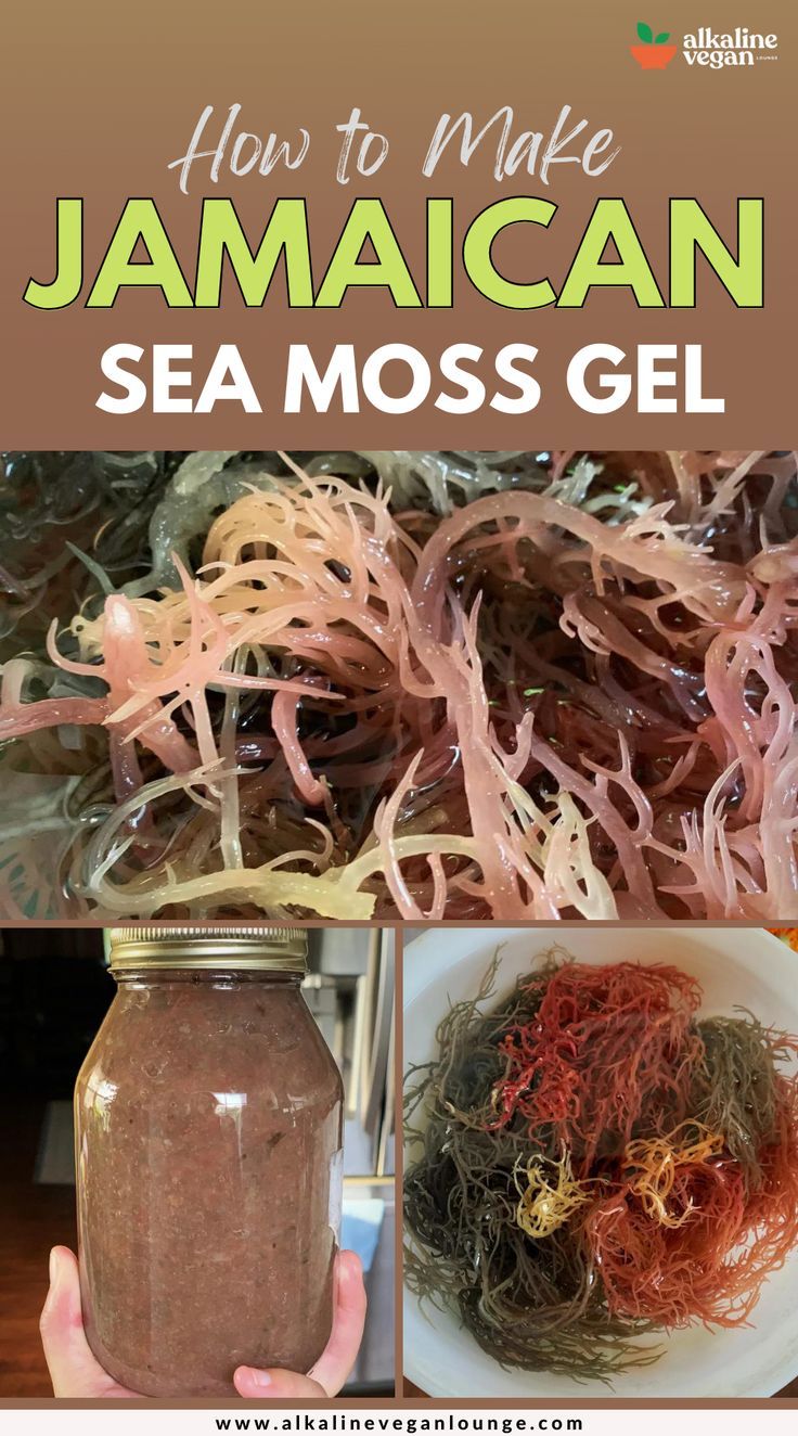 How To Make Jamaican Sea Moss Gel In 2022 Healthy Eating Recipes Sea How To Make Jamaican Sea Moss Gel In 2022 Healthy Eating Recipes Sea