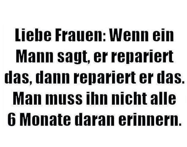 Männer suchen frauen faule tomaten