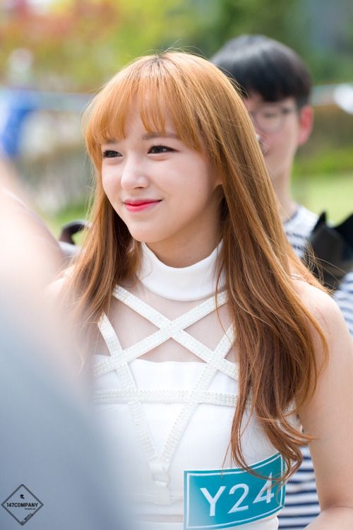 favidols cheng xiao cheng kpop favidols cheng xiao cheng kpop