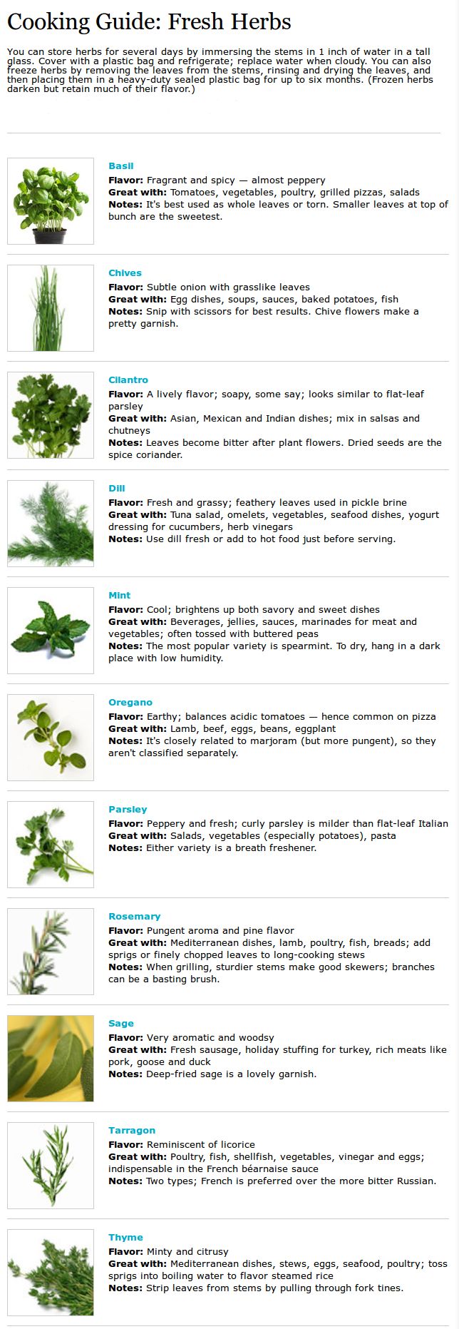 Worksheets Basic Cooking Terms Worksheet 31 best foodie charts images on pinterest cooking tips food herb chart