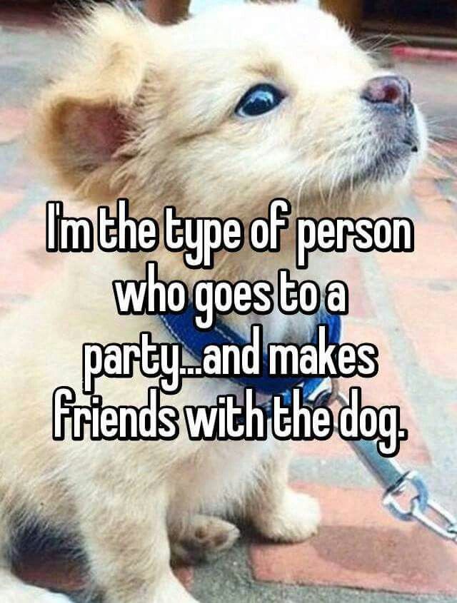 Quotes About Dog Friendship Magnificent 27 Best Furry 4Legged Friends Images On Pinterest Animal Quotes About Dog Friendship Fascinating 27 Best Furry 4Legged Friends Images On Pinterest Animal