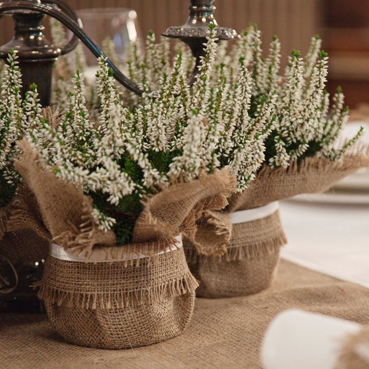 Burlap wedding plant wrap floral centrepiece perfect favour | Etsy
